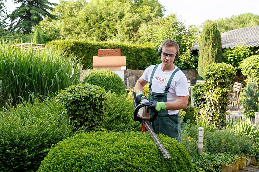 Entretien et création d’espaces verts